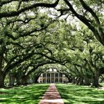 Slavery at Oak Alley: a look at the world that shaped Oak Alley’s enslaved community